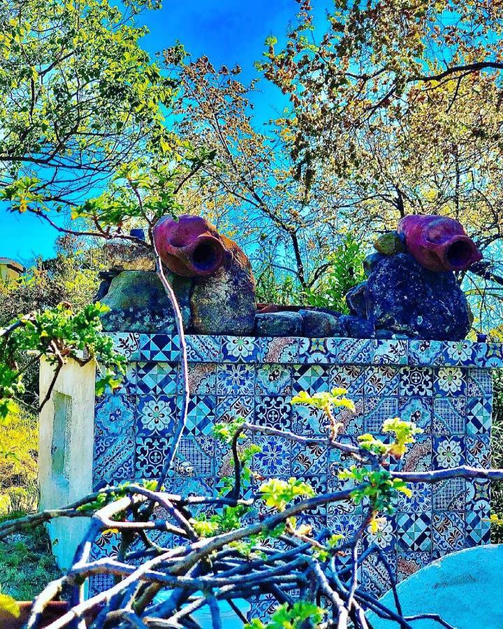 L'incanto Di Nausicaa Guest house Ascea