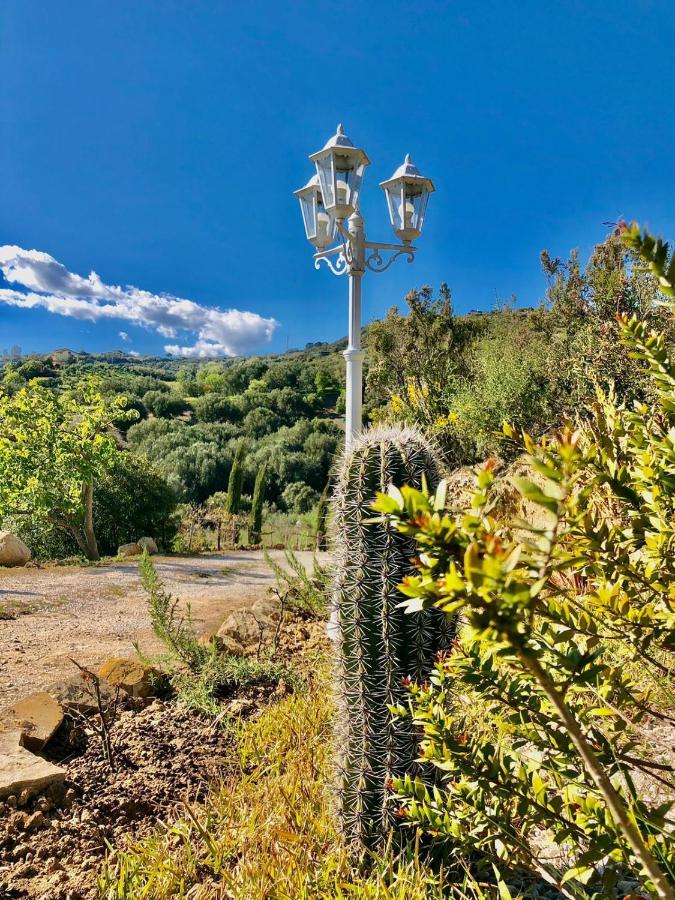 L'incanto Di Nausicaa Guest house